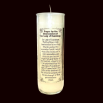 Our Lady of Guadalupe Case (12) - Image 3